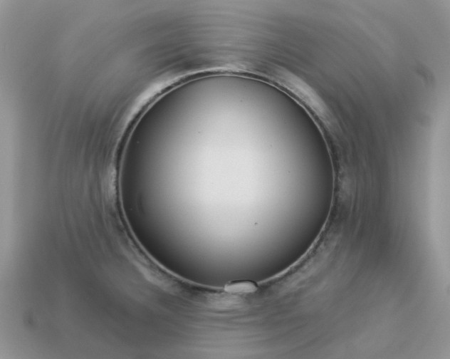 X0000113041332200909101910