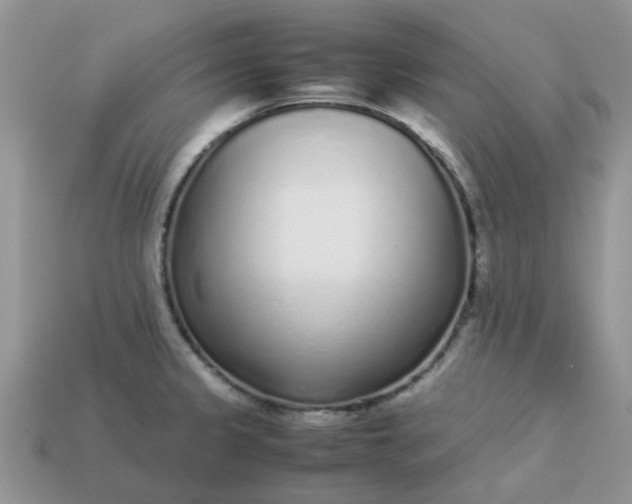 X0000113041333200909101910