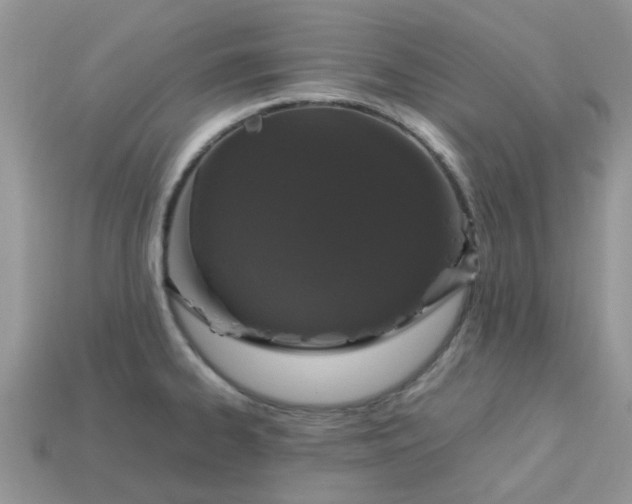 X0000113041334200909101910