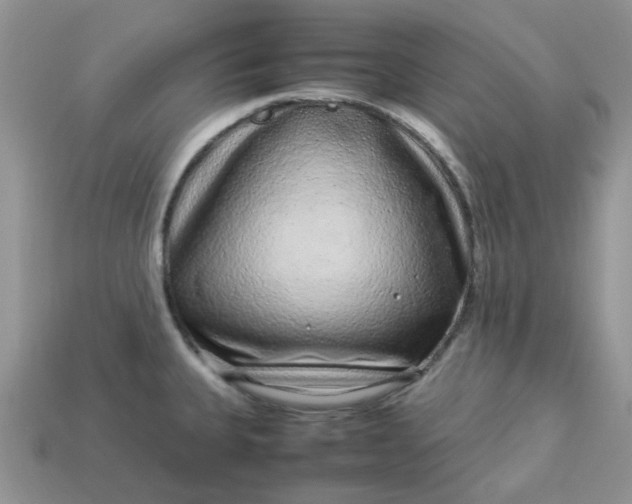 X0000113041335200909101910