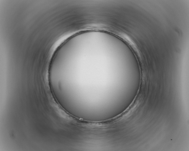 X0000113041336200909101910