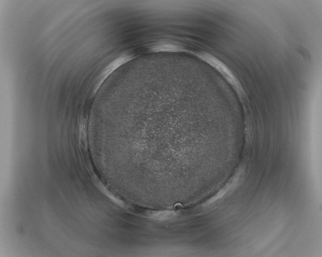 X0000113041337200909101910
