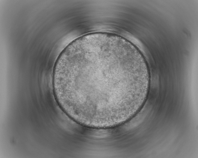 X0000113041338200909101910