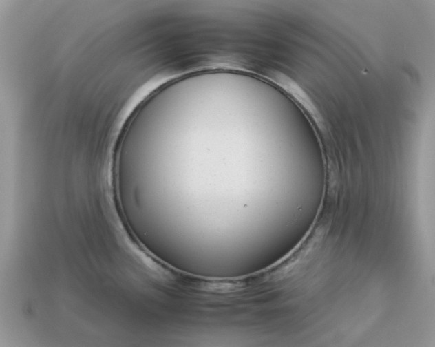 X0000113041339200909101910