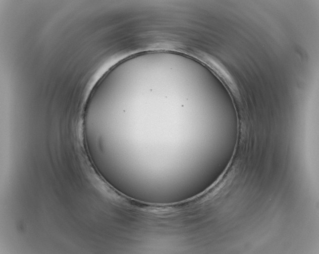 X0000113041340200909101910