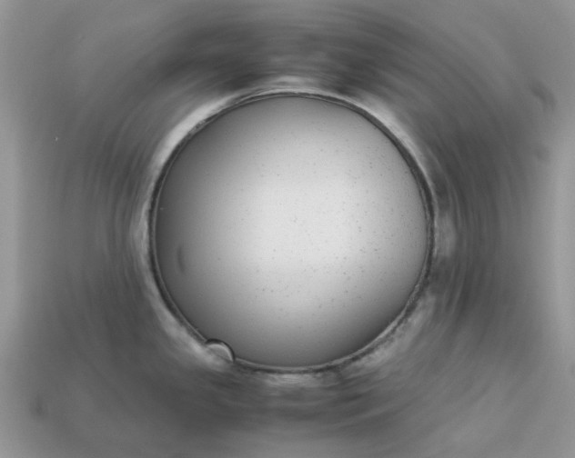 X0000113041341200909101910