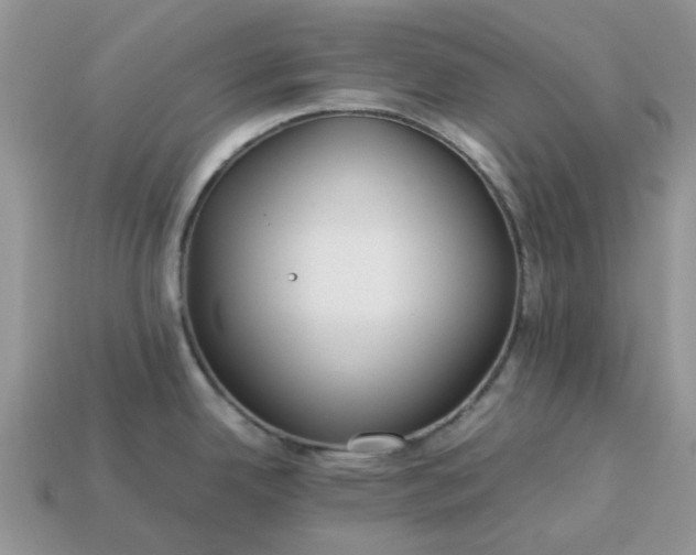 X0000113041342200909101910