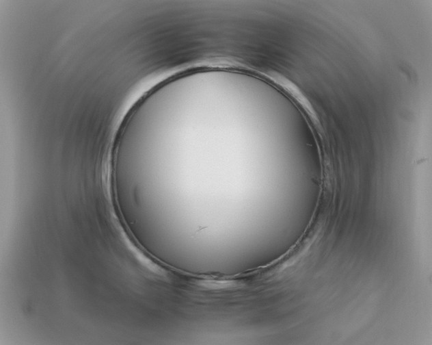 X0000113041343200909101910
