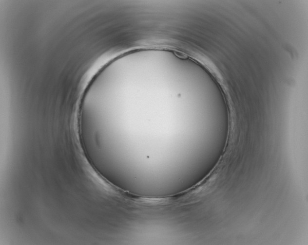 X0000113041344200909101910