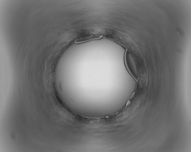 X0000113041345200909101910