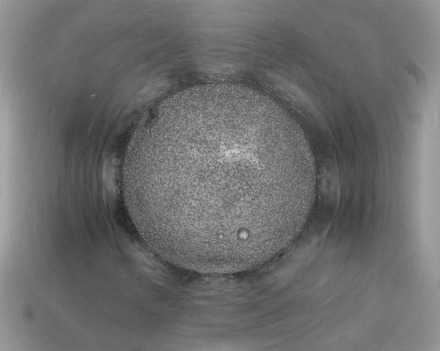 X0000113041346200909101910