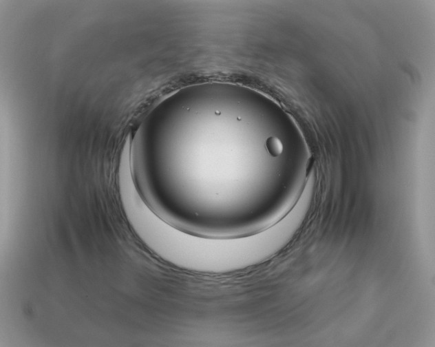 X0000113041348200909101910
