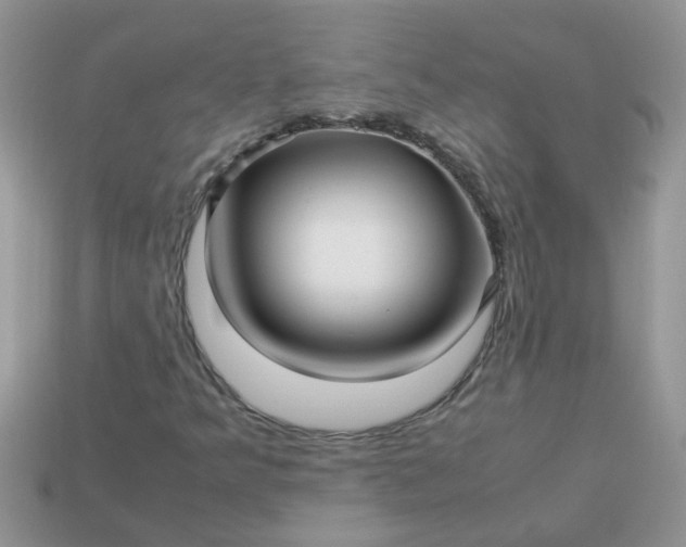 X0000113041349200909101909