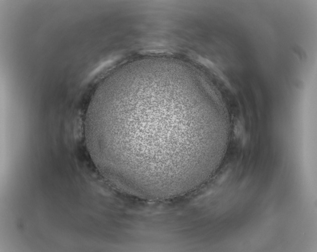 X0000113041350200909101909