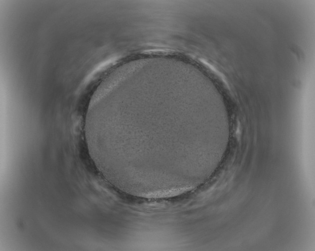 X0000113041351200909101909