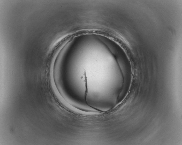 X0000113041352200909101909