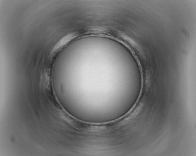 X0000113041354200909101909
