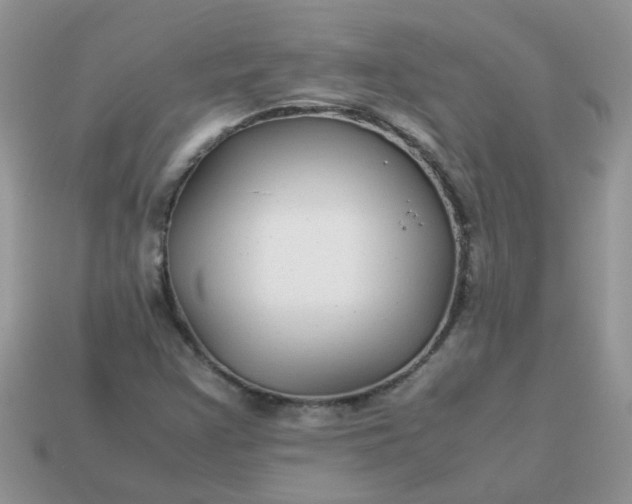 X0000113041355200909101909