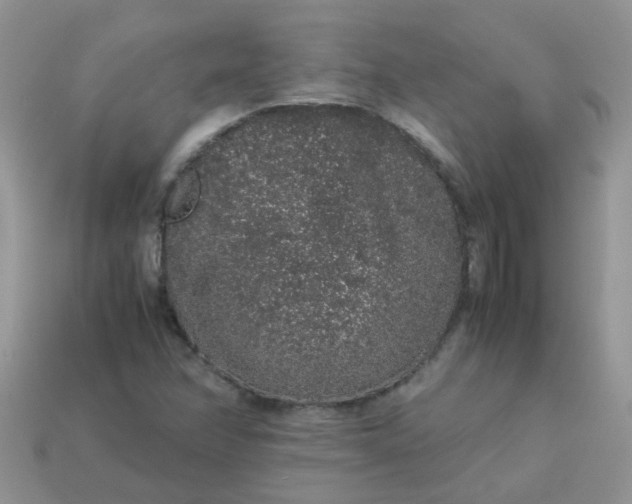 X0000113041358200909101909