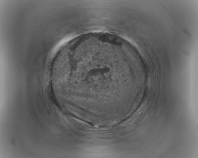 X0000113041359200909101909
