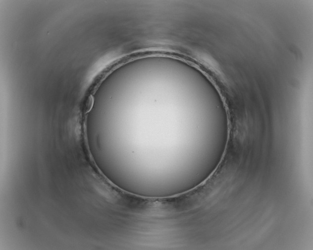 X0000113041360200909101909