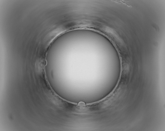 X0000113041361200909101909
