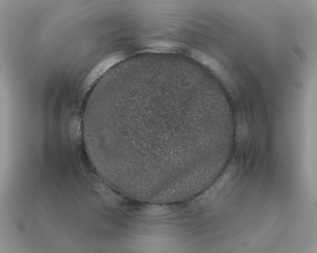 X0000113041362200909101909