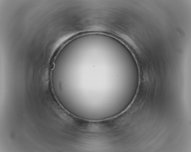 X0000113041364200909101909