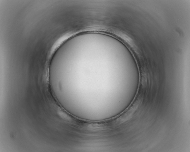 X0000113041366200909101909