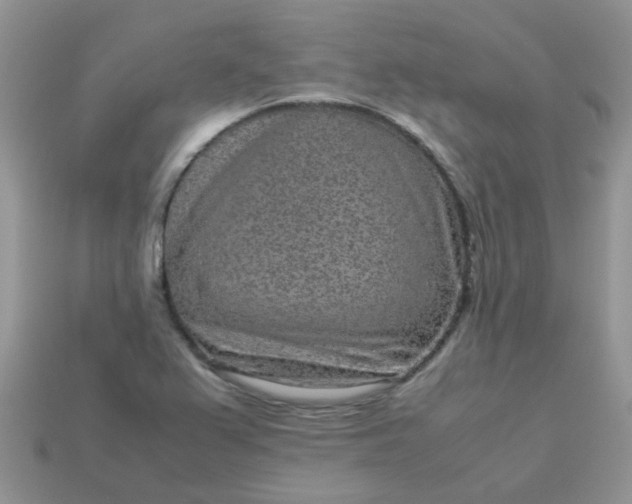 X0000113041367200909101909