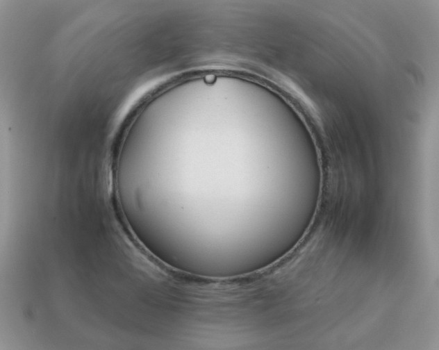X0000113041368200909101909