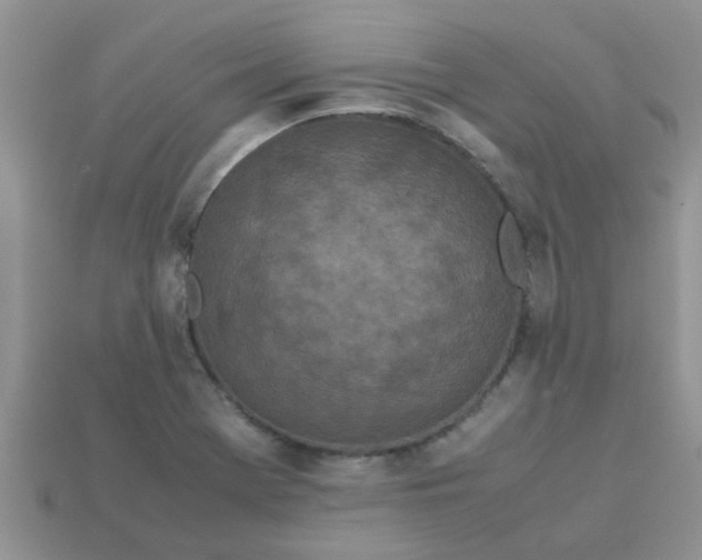 X0000113041369200909101909