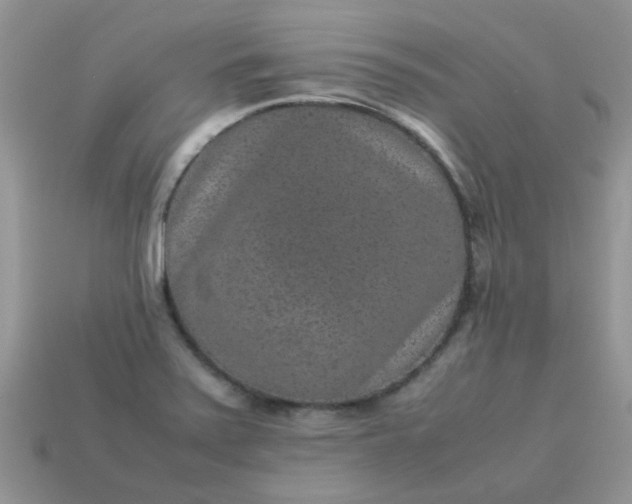 X0000113041371200909101909