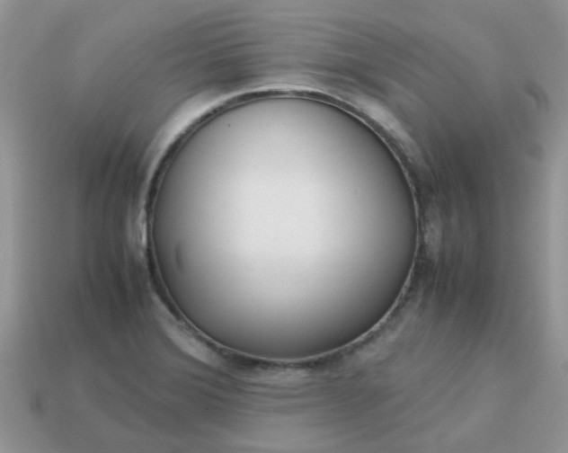 X0000113041372200909101909
