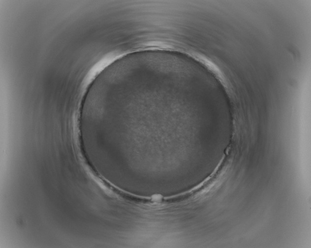 X0000113041373200909101909