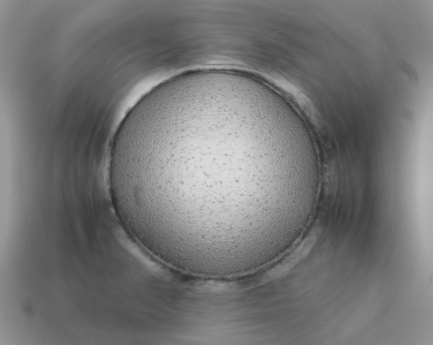 X0000113041374200909101909