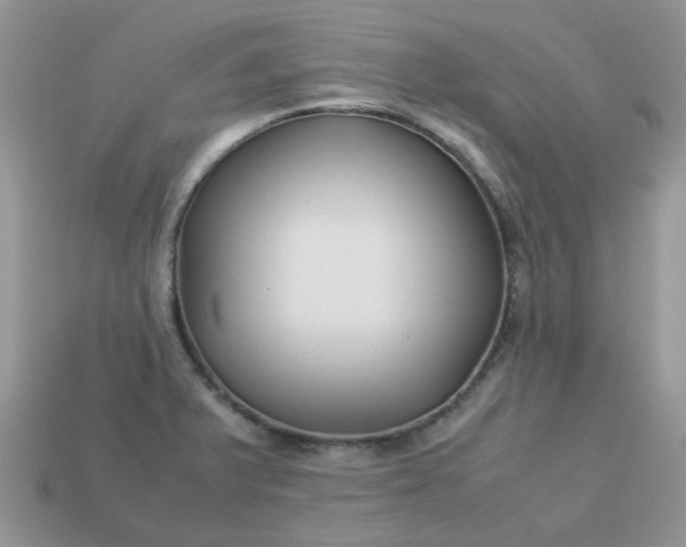 X0000113041375200909101909
