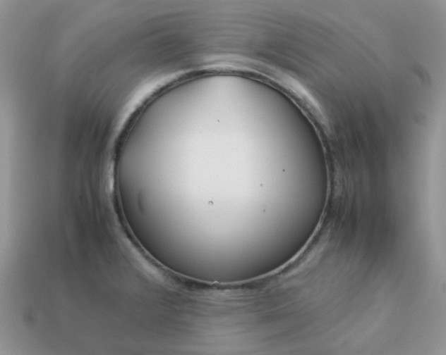 X0000113041376200909101909