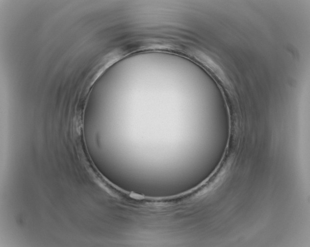 X0000113041377200909101909