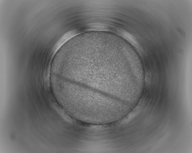 X0000113041378200909101909
