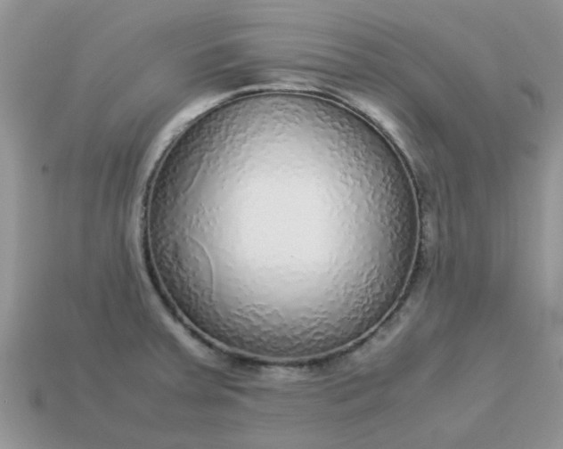 X0000113041379200909101909