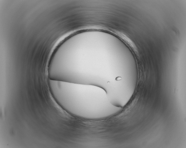 X0000113041380200909101909
