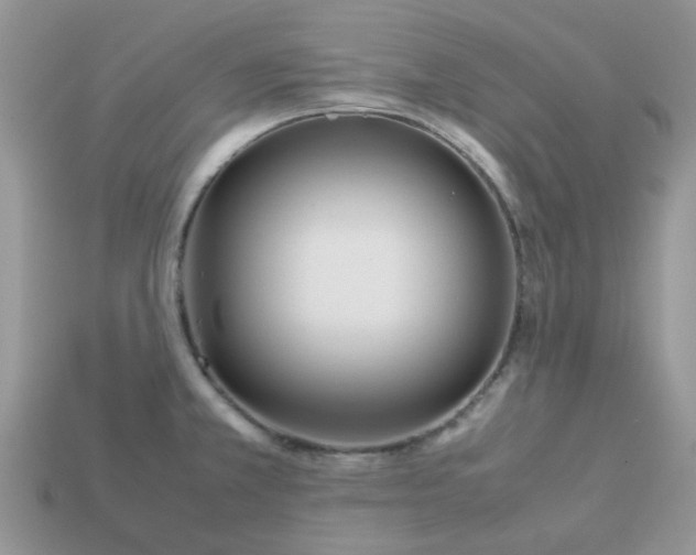 X0000113041381200909101909