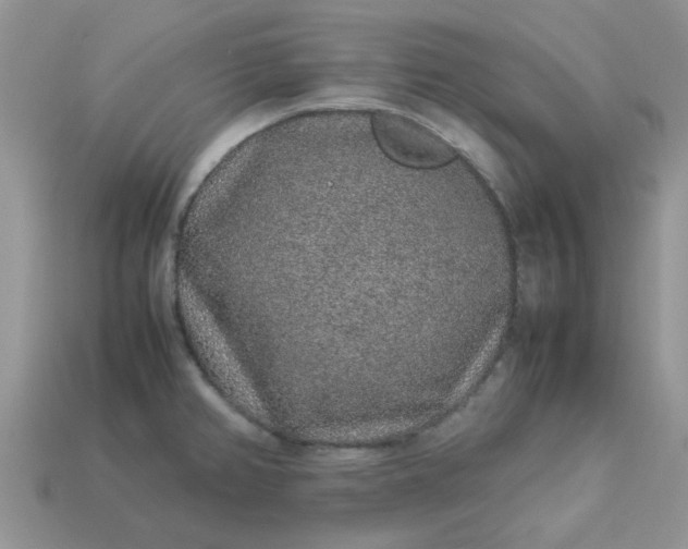 X0000113041382200909101909