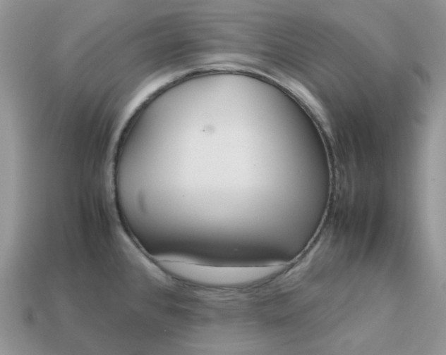 X0000113041384200909101909