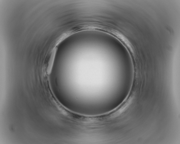 X0000113041385200909101909