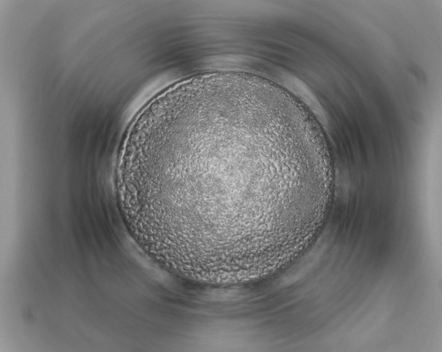 X0000113041386200909101909