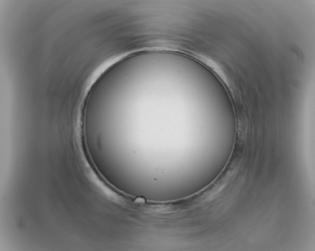 X0000113041387200909101909