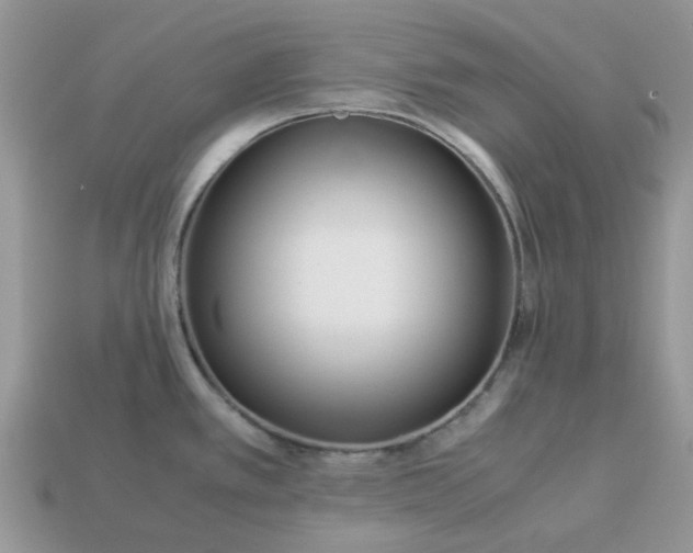 X0000113041389200909101909
