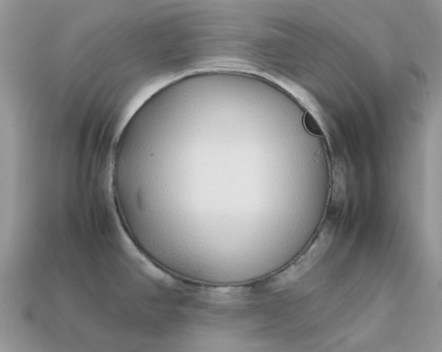 X0000113041390200909101909